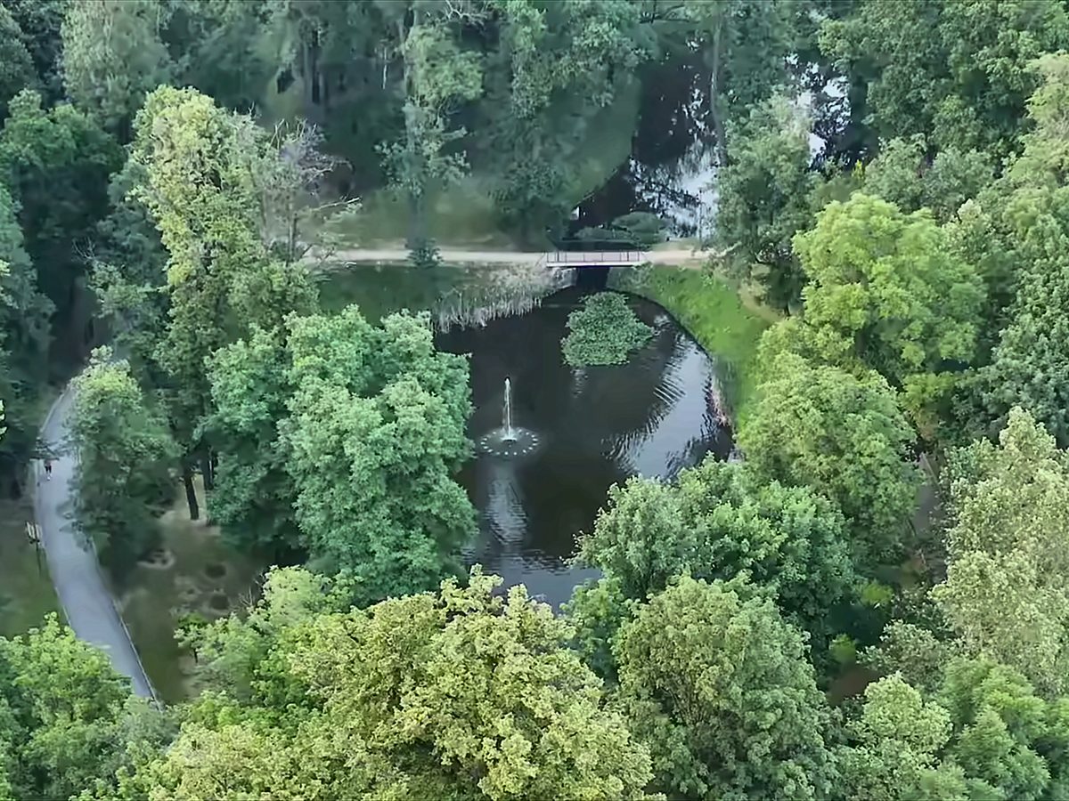 Park Szwajcaria z lotu ptaka: staw z fontanną, kamienny mostek i aleje starych drzew